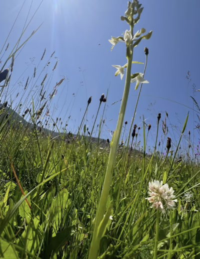ochránci přírody pod Kralickým Sněžníkem