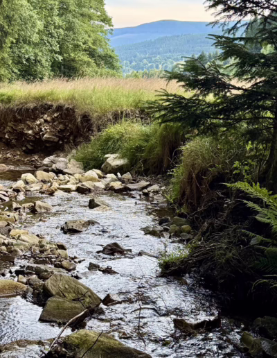 ochránci přírody pod Kralickým Sněžníkem