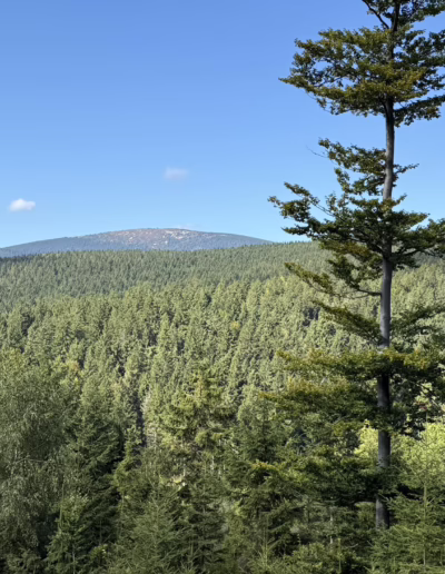 ochránci přírody pod Kralickým Sněžníkem